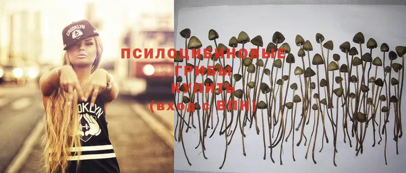 Псилоцибиновые грибы Magic Shrooms  Грязи 